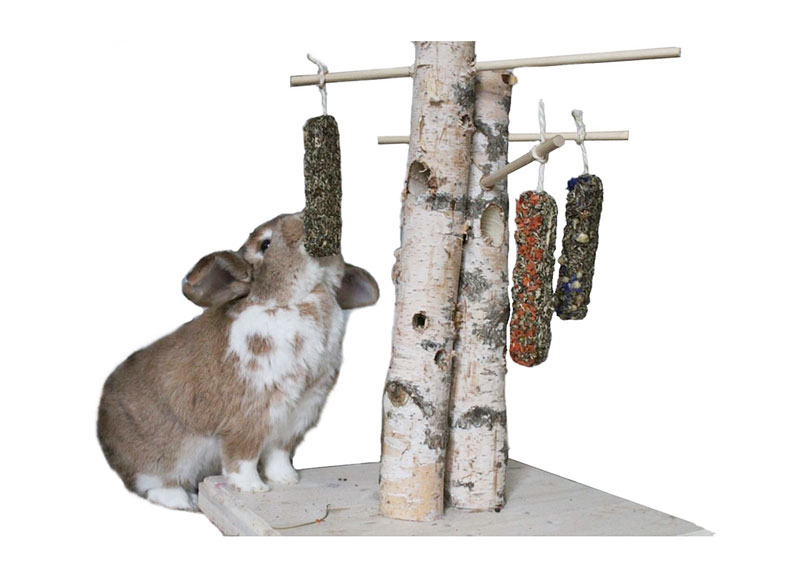 Futterbaum für Zwergkaninchen - Kaninchen Spielzeug