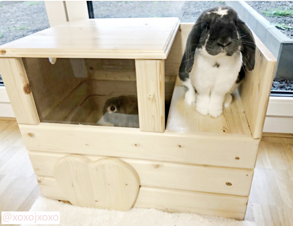 Buddelkiste / Buddelbox für Kaninchen aus Holz 