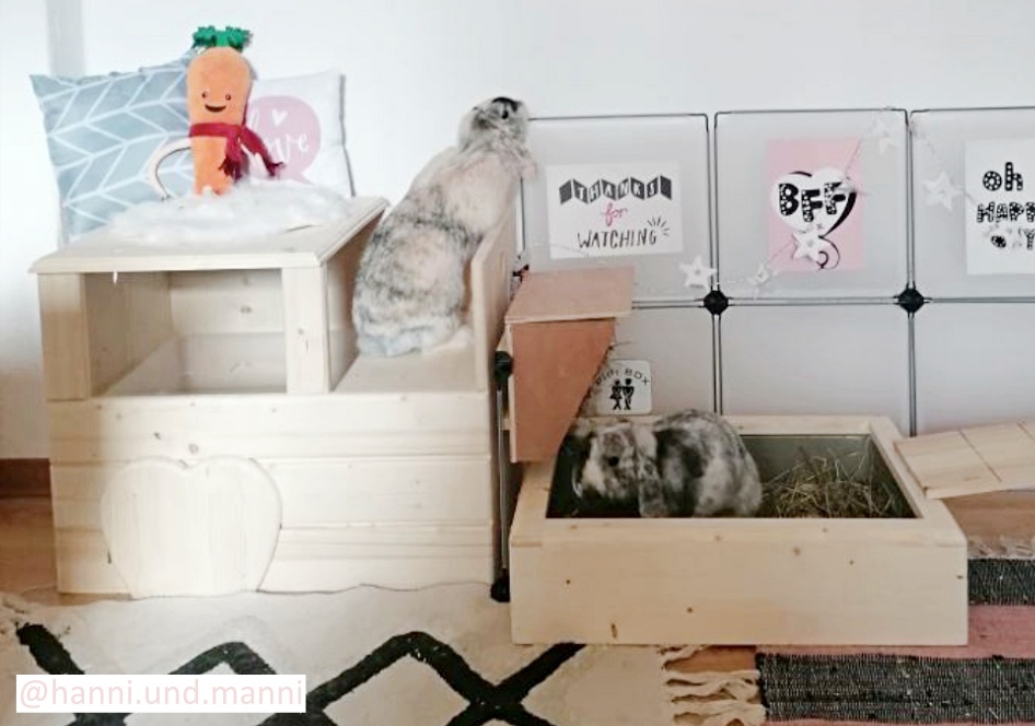 Buddelkiste / Buddelbox für Kaninchen aus Holz von Bunny Love