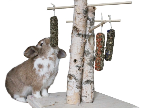 Futterbaum mit zwei stämmen für Kaninchen beschäftigung