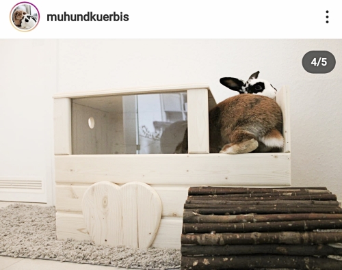 Preview: Buddelkiste Kaninchen Bunny Love Shop